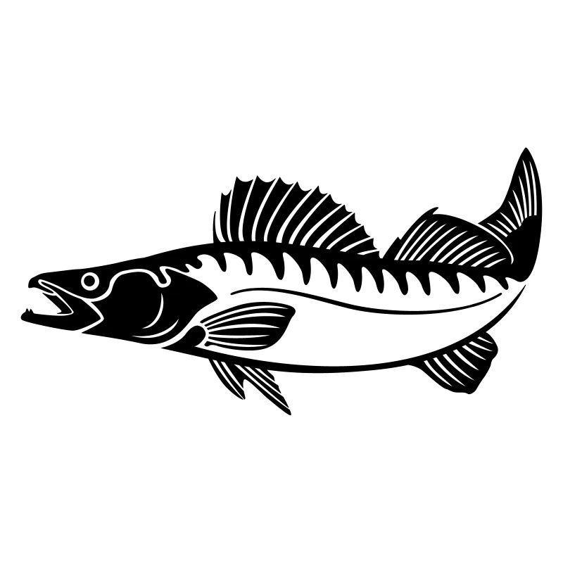 Zander (Pikeperch)