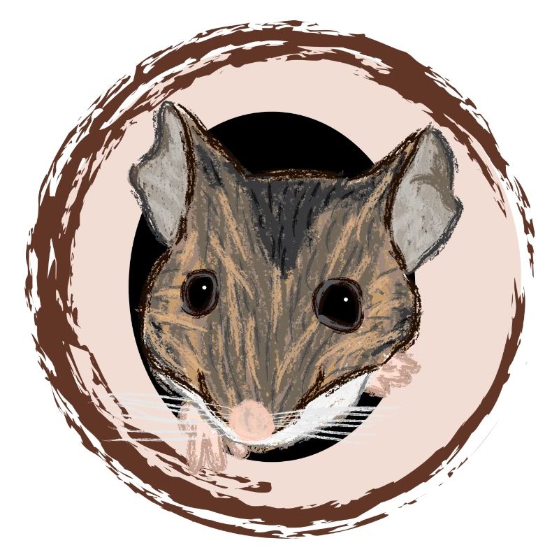 Waldmaus / Wood Mouse II