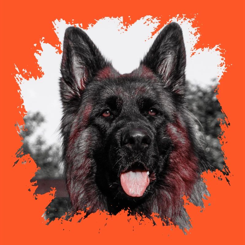Schäferhund