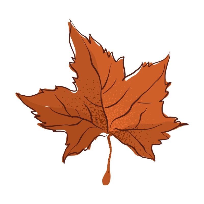 Autumn Leaf Autumn Leaf
