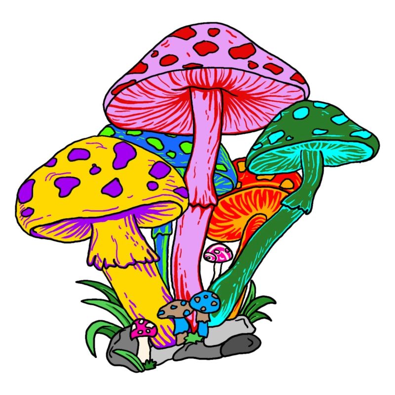 Champignons