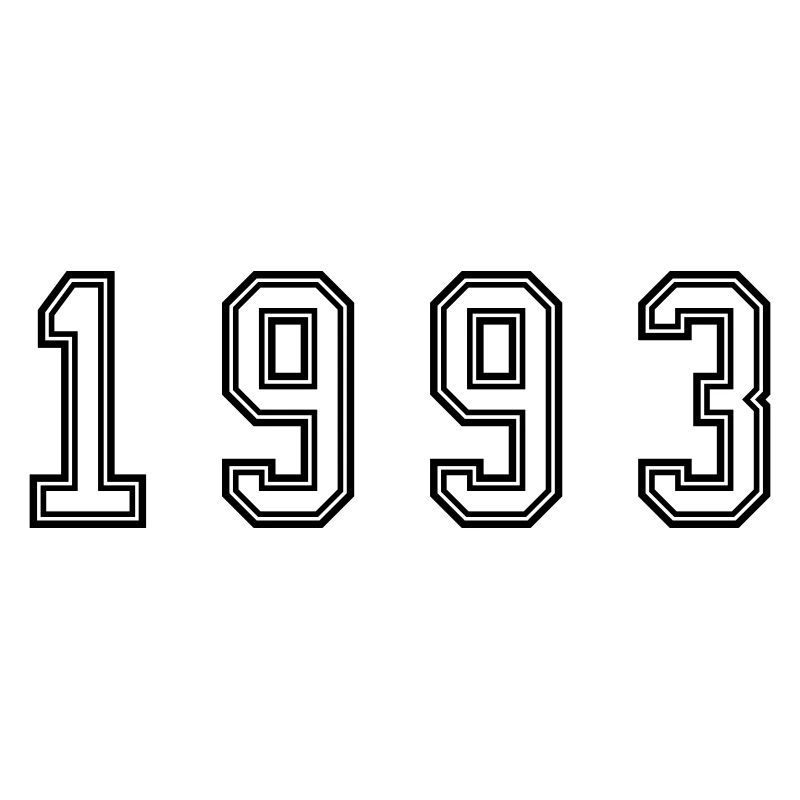 1993 Year Number