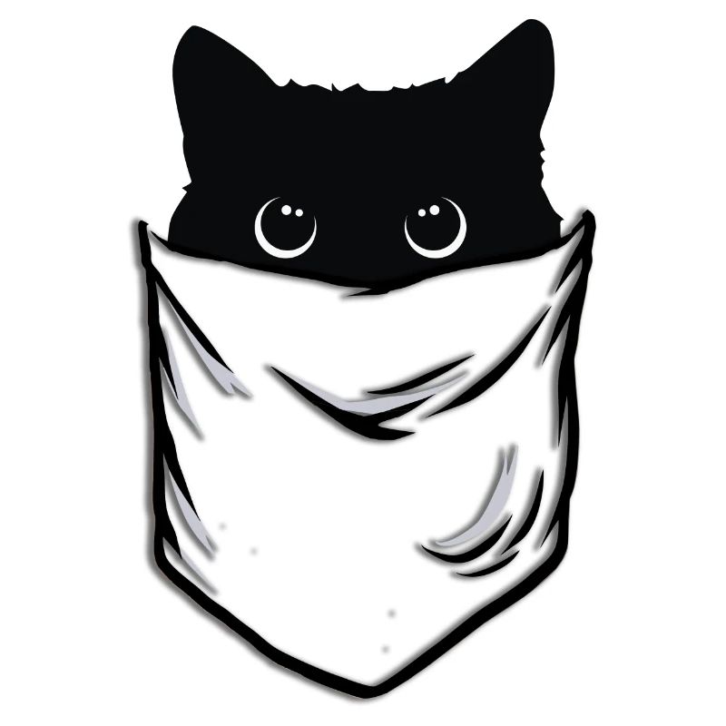 Chat noir de poche