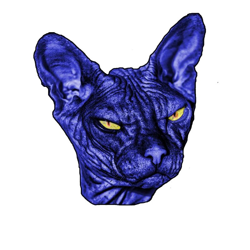 Cat Sphynx ,Cat Sphinx,Cat Shirt