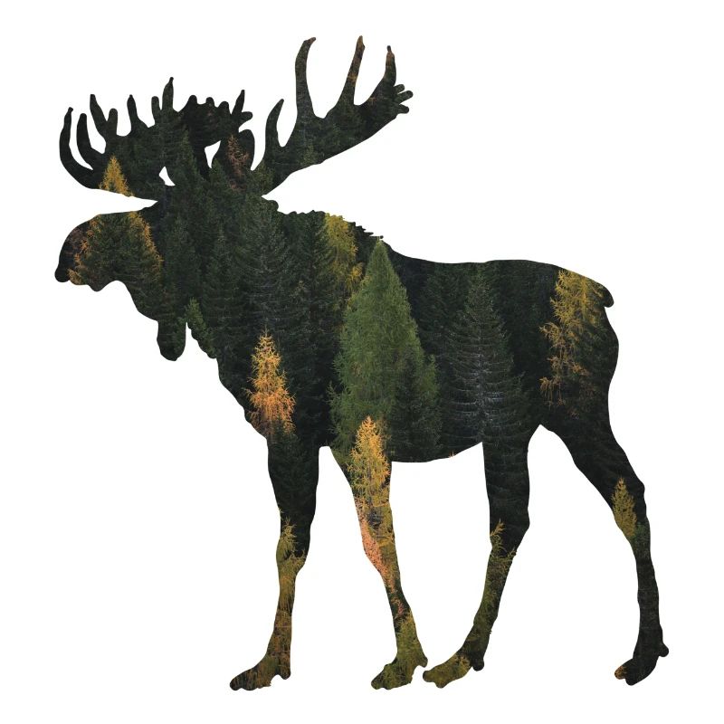 Moose