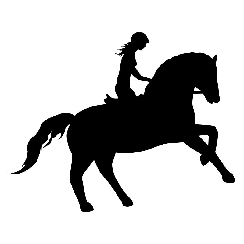 Le cavalier et le cheval unis
