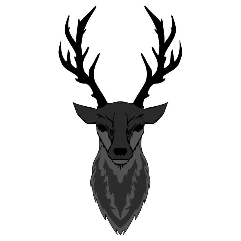 hirsch