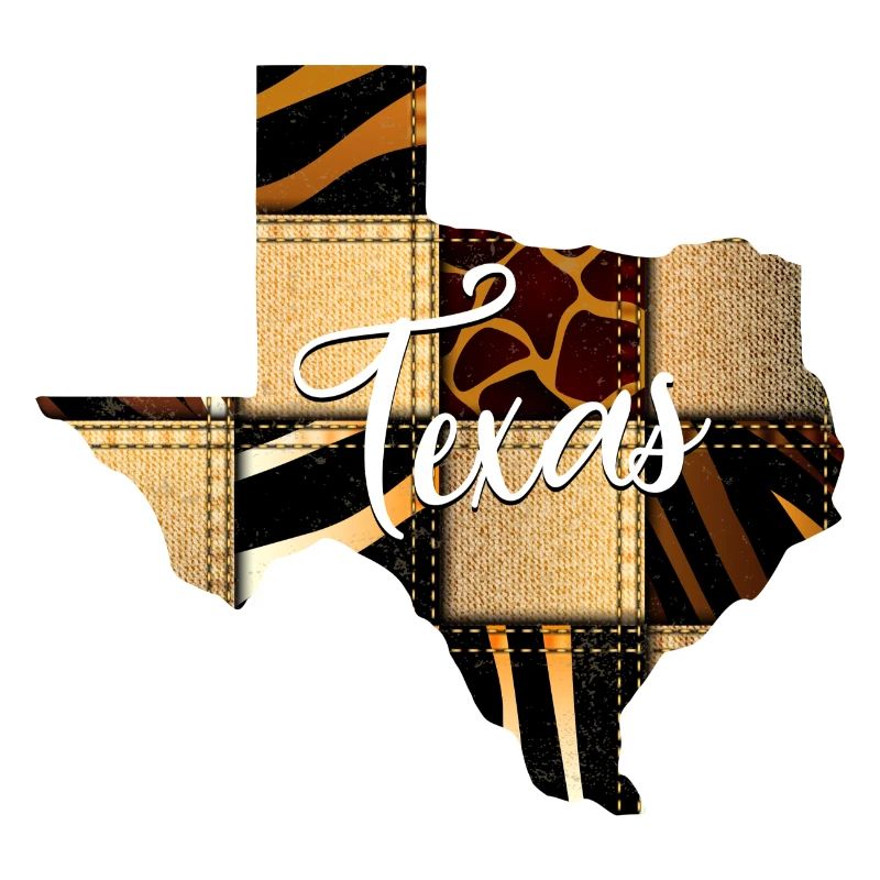 Texas Leopard Denim Map