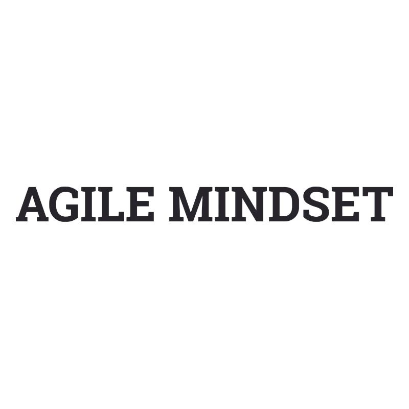 « Agile Mindset » | « Scrum Master »