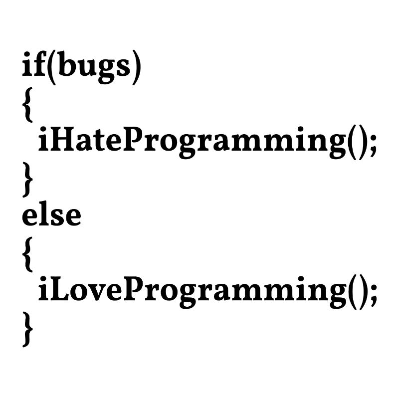LoveProgramming, HateBugs! #InformatikerHumor