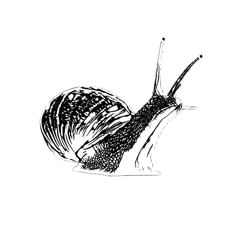 Escargot