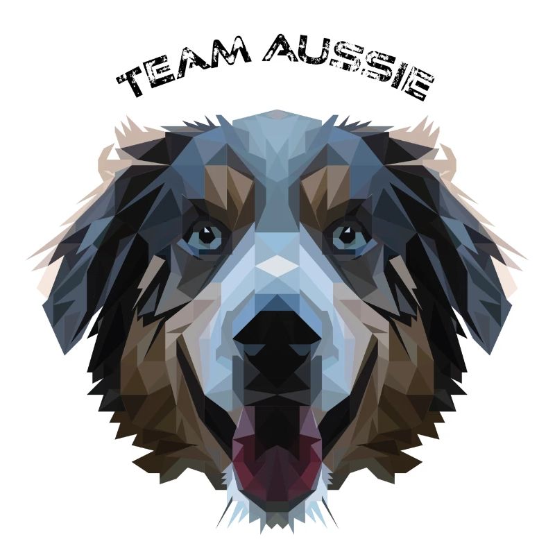 Aussie dans la conception de polygones - géométrie