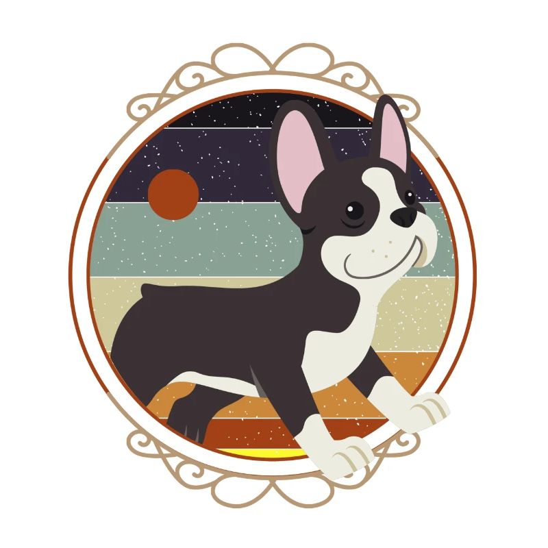 Boston Terrier, Boston Terrier Tierfreunde, Boston