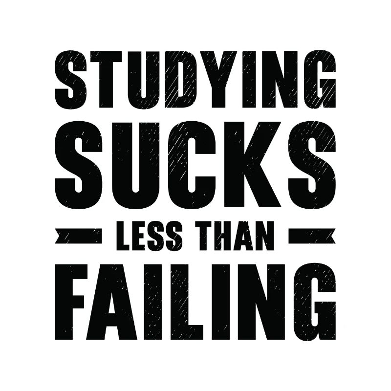 Studying Student Learning Education Lessons Study