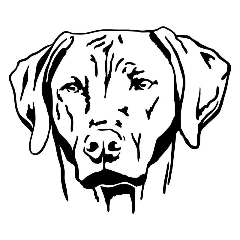Rhodesian Ridgeback