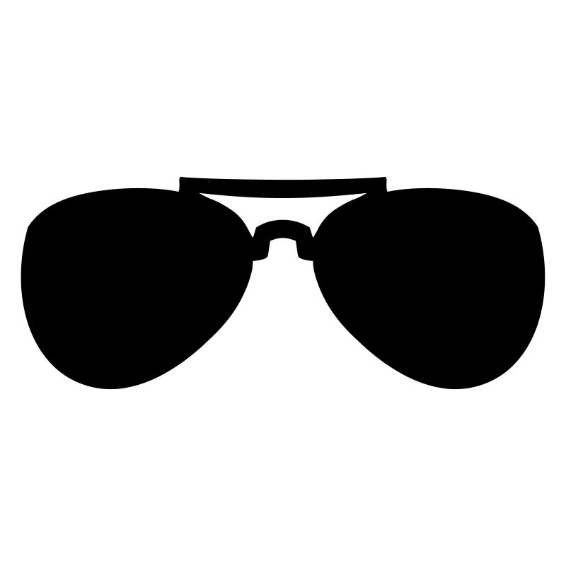 Lunettes de soleil