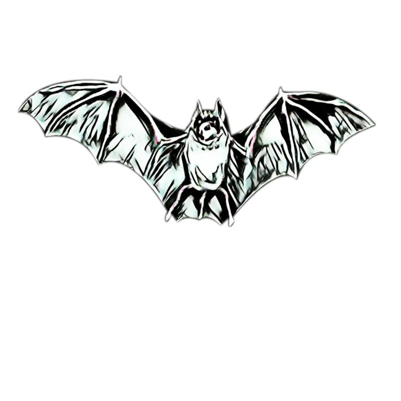 Fledermaus