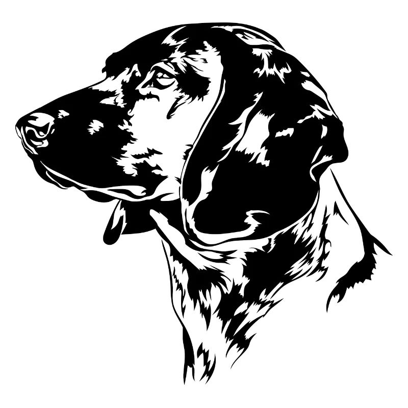 BAYERISCHER GEBIRGSSCHWEIßHUND Jagdhunde Wilsigns