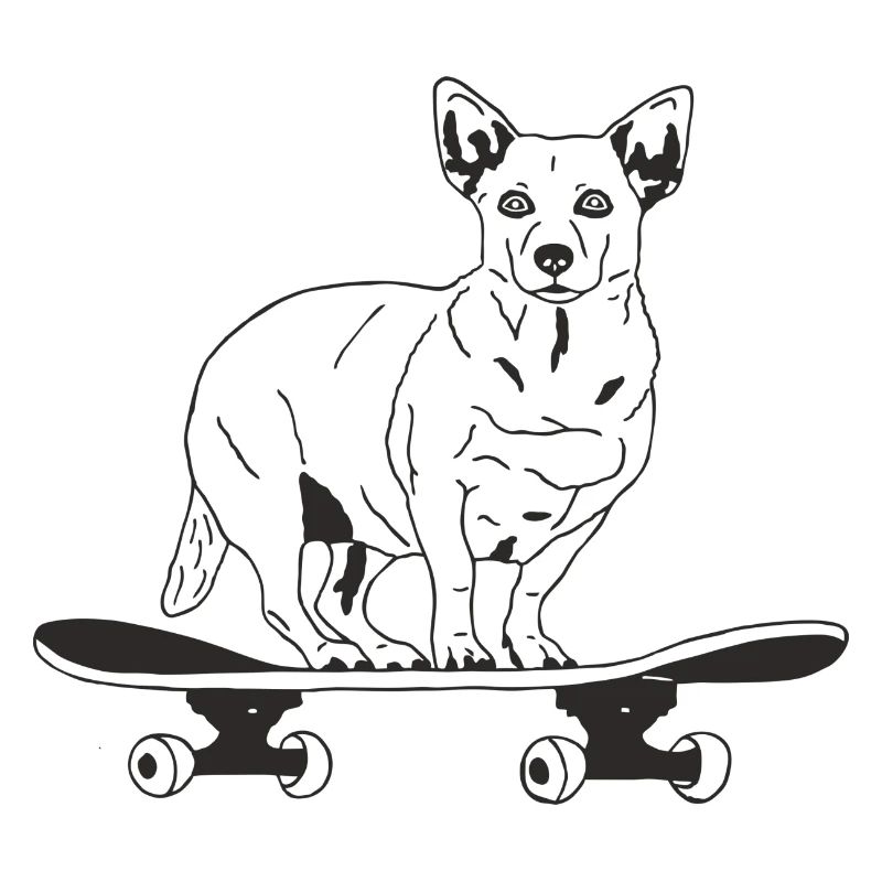 Chihuahua auf Skateboard