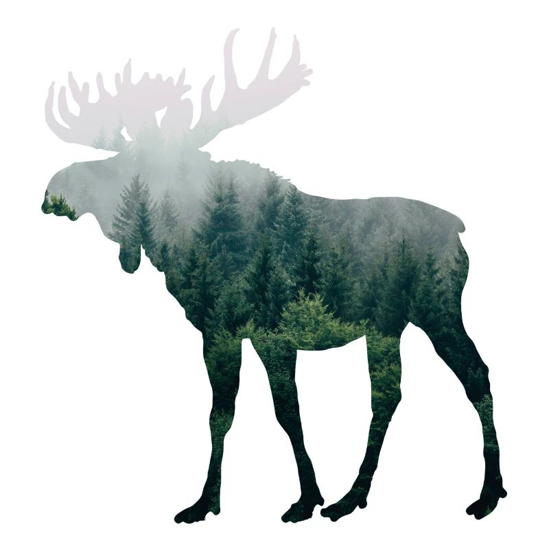 Moose