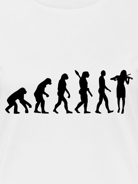 Evolution Violin Fiddle