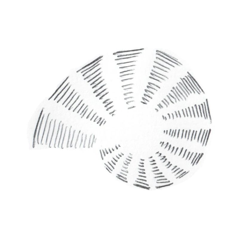 Spirale