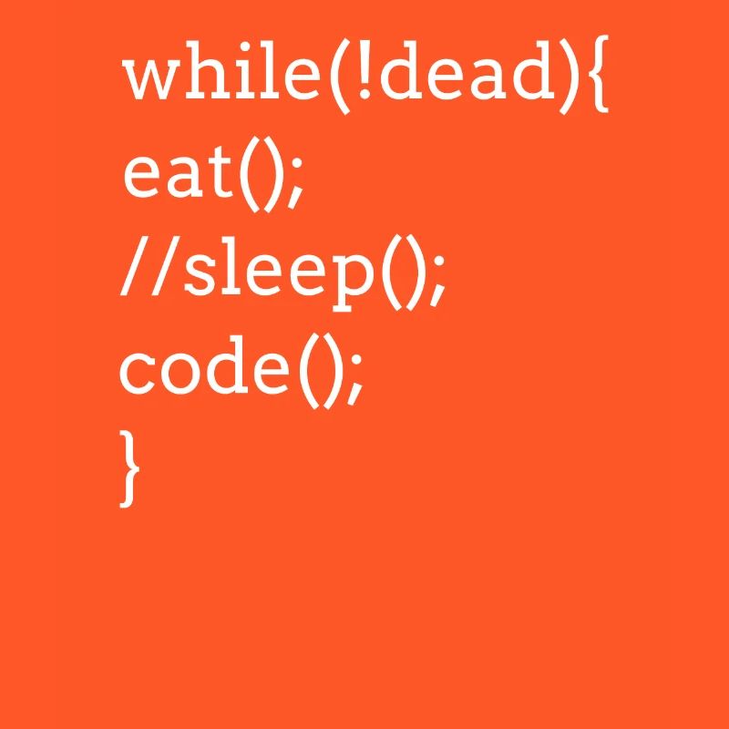 Programmation d'un jeu de mots pour développeur informatique