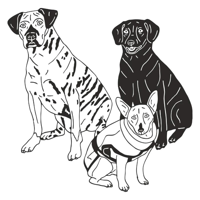 Hunde