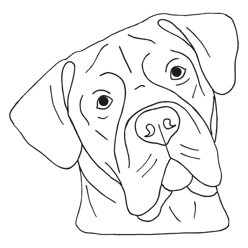 Cane Corso