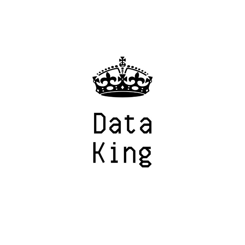 Data King Gift Digital World Nerd T-Shirt