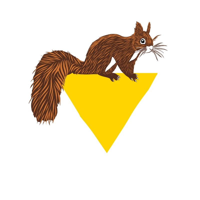 Squirrel Fuchshörnchen Grauhörnchen Eichhörnchen