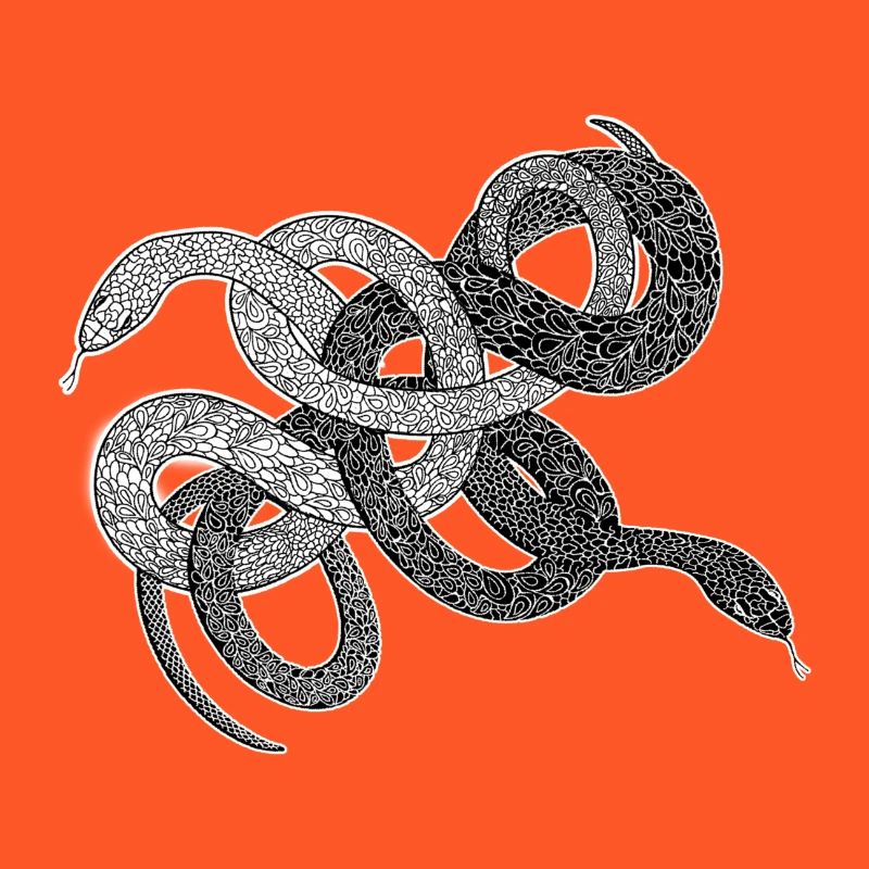 Schlangen Geschenk python anaconda snake