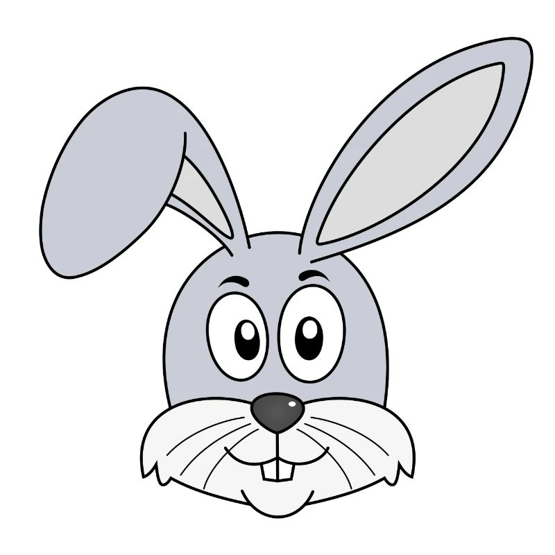 Rabbit Easter Rabbit Teeth Rabbits Easter