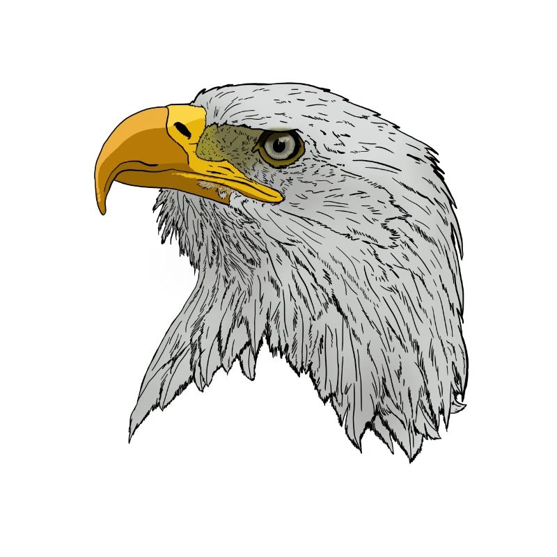 Bald Eagle face gift idea for kings