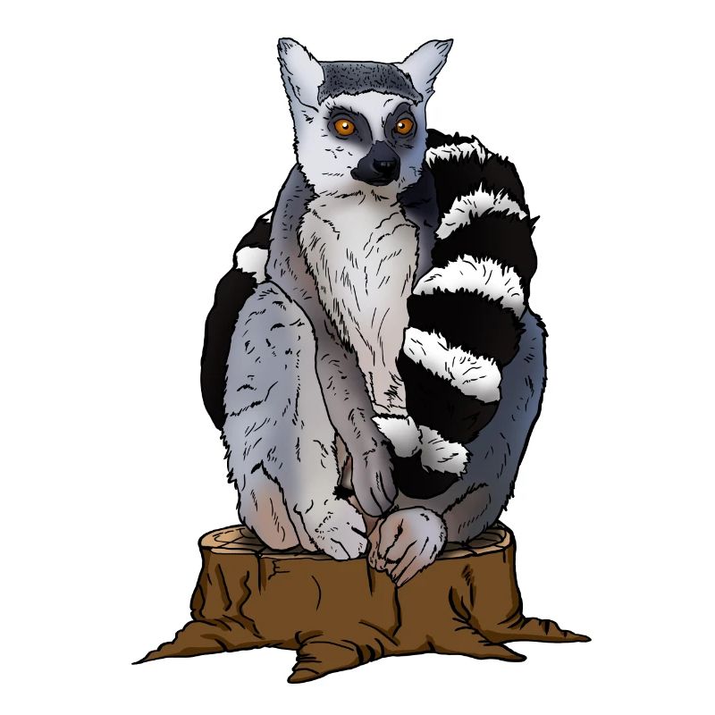 Sweet katta monkey sits on tree. Gift for lemur