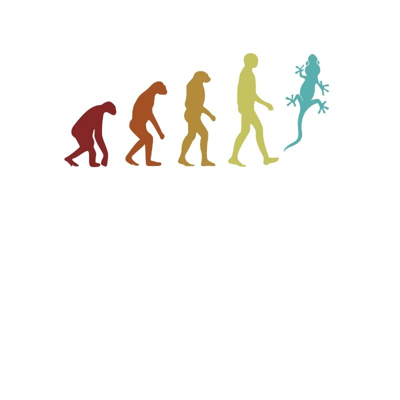Gecko Evolution Eidechse Gekkota Schopfleopard