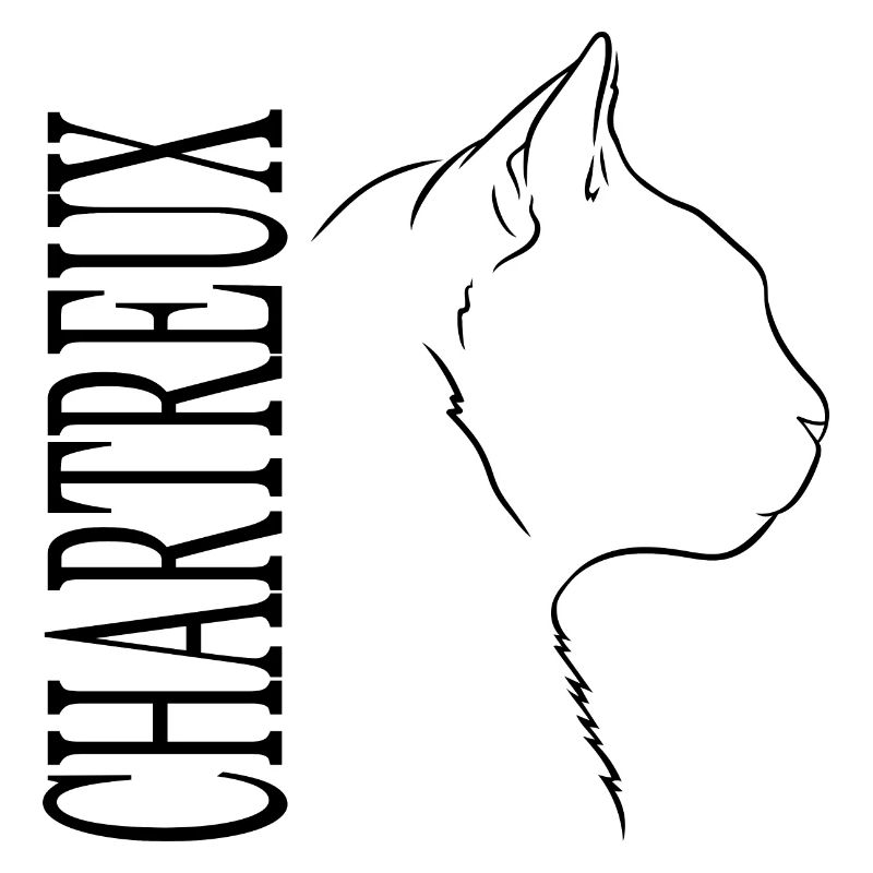 Chartreux Profil Chat Chats Wilsigns