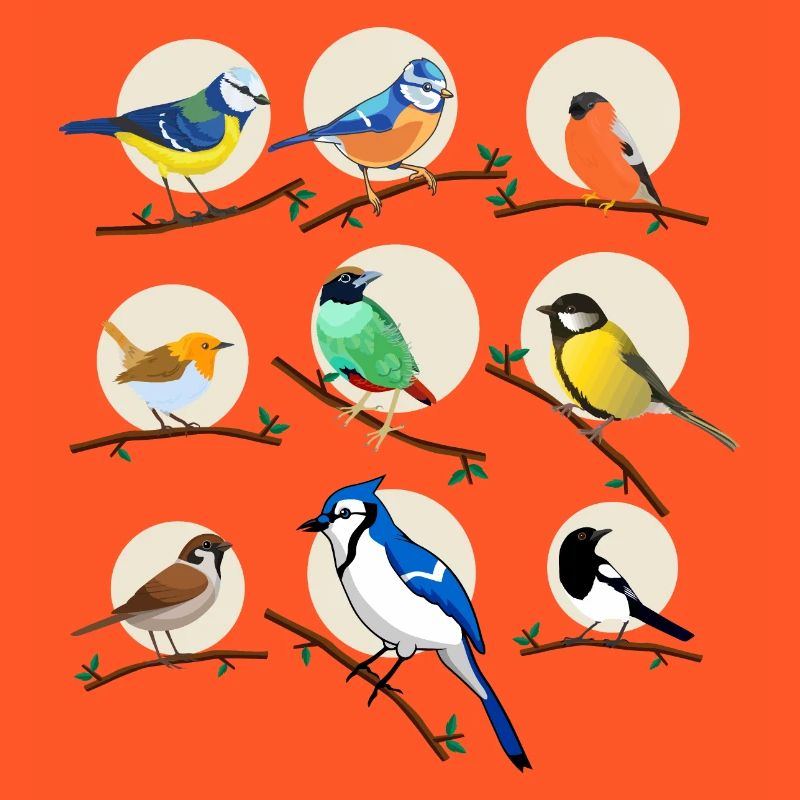 oiseaux, oiseaux, mésanges,