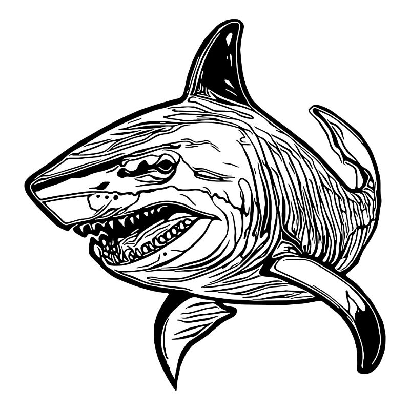 Large vintage oceanic shark with sharp teeth