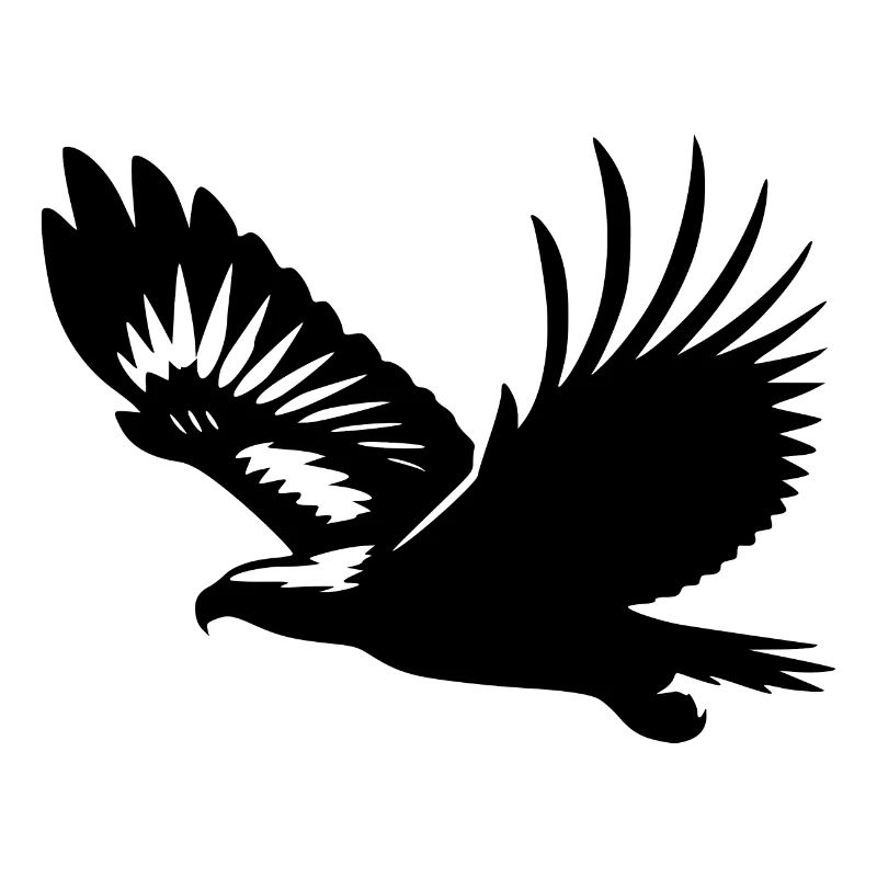 White-tailed eagle on broad wings on the rise