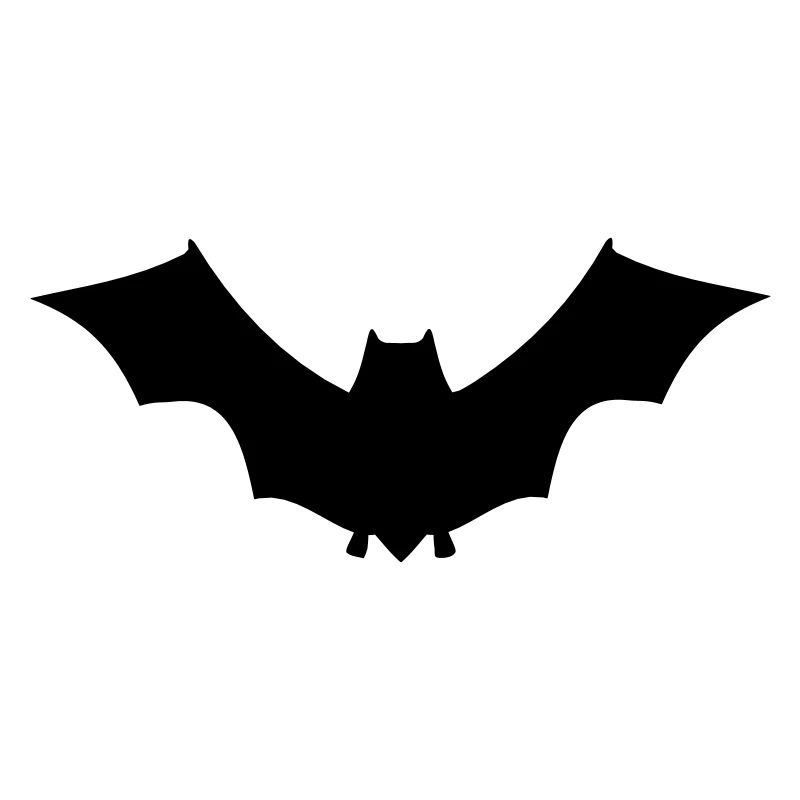 Fledermaus