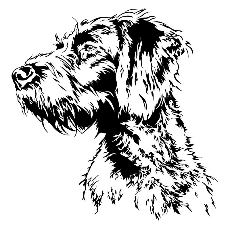 DEUTSCH DRAHTHAAR Wilsigns Jagdhund Jagdhunde