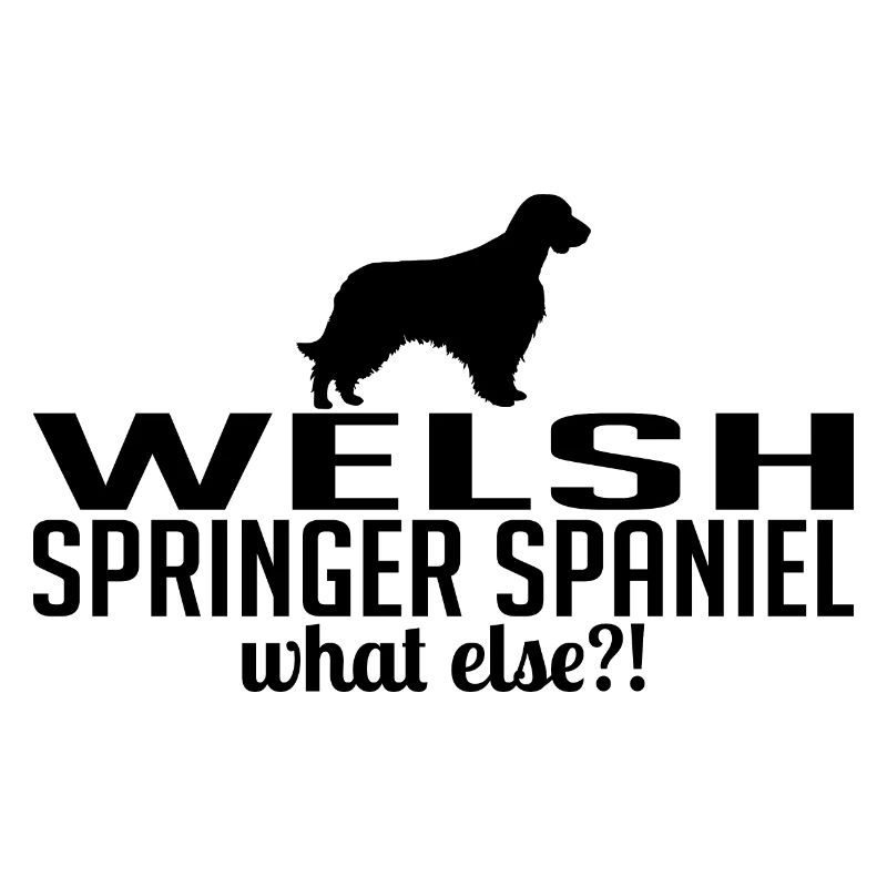 WELSH SPRINGER SPANIEL quoi d’autre Chiens Wilsigns