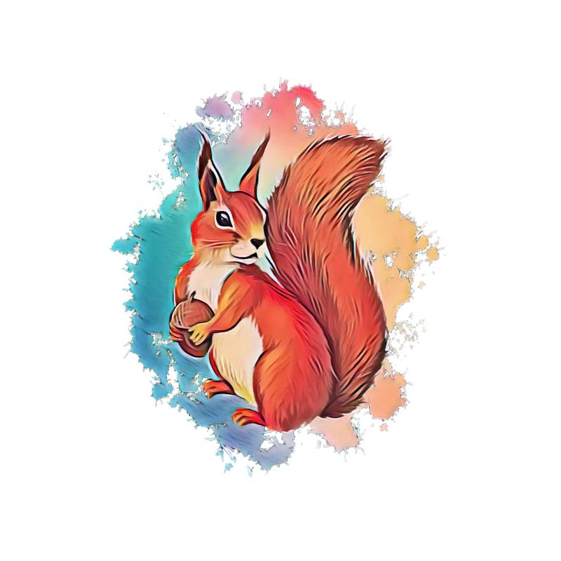 Eichhörnchen