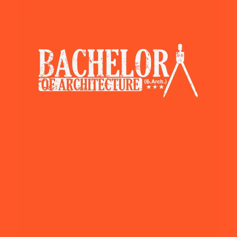 Baccalauréat en architecture (B.Arch.)