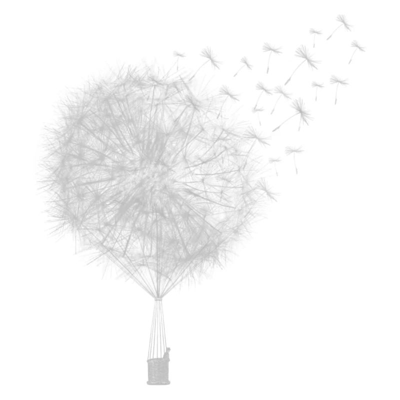 Heißluftballon Löwenzahn. Geschenk. Idee.