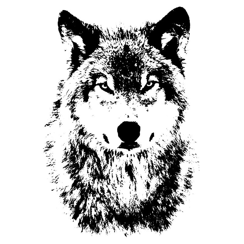 Cool OnePleasure Bad Wolf Look Gift Ideas