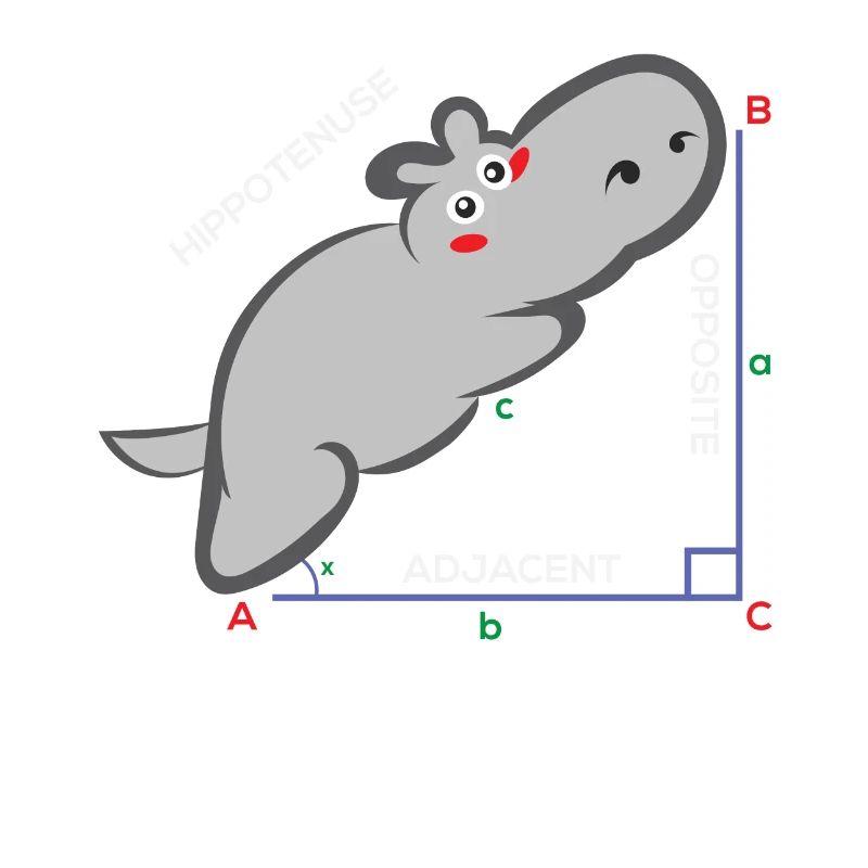 Hippotenuse Funny Math Teacher Gift