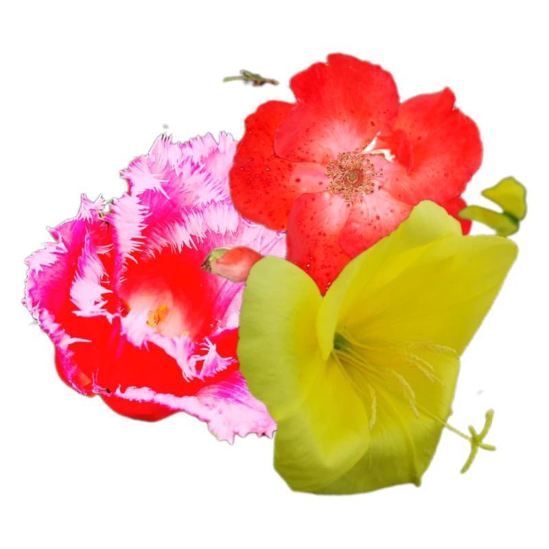 Fleur