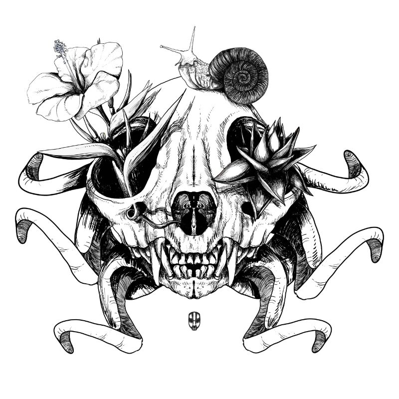 Le crâne les fleurs et l'escargot